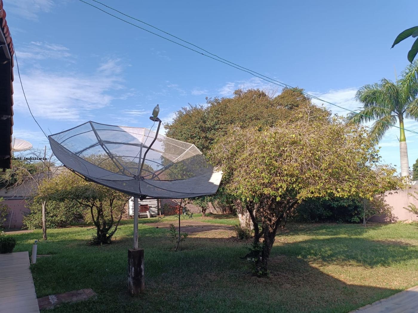 Casa, 3 quartos, 500 m² - Foto 4