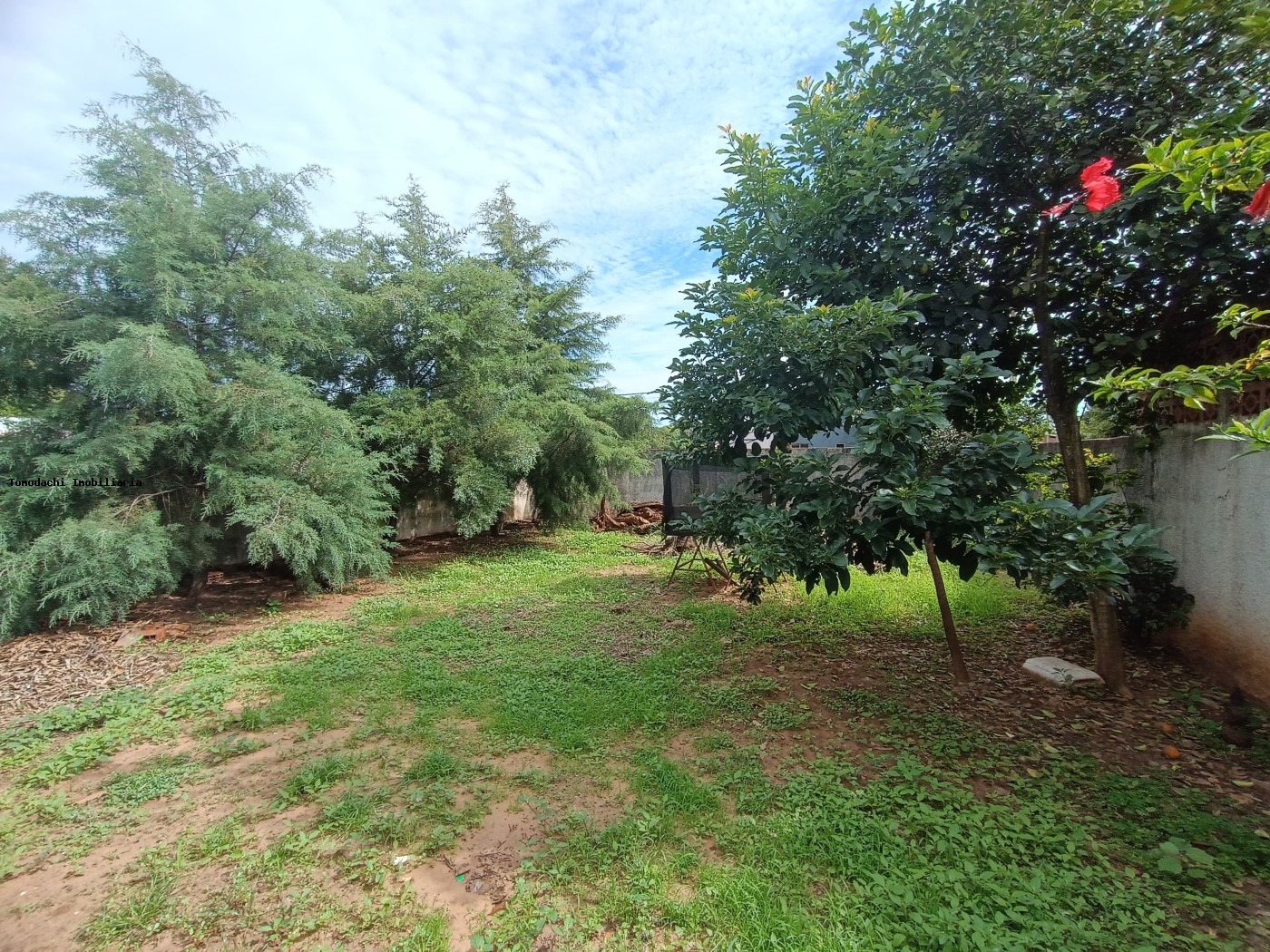 Casa para alugar com 2 quartos - Foto 9