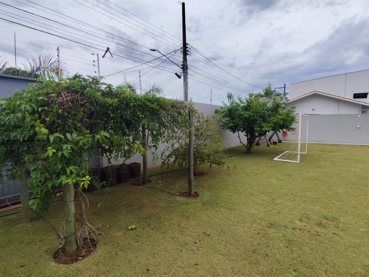 Casa para alugar com 2 quartos, 750m² - Foto 13