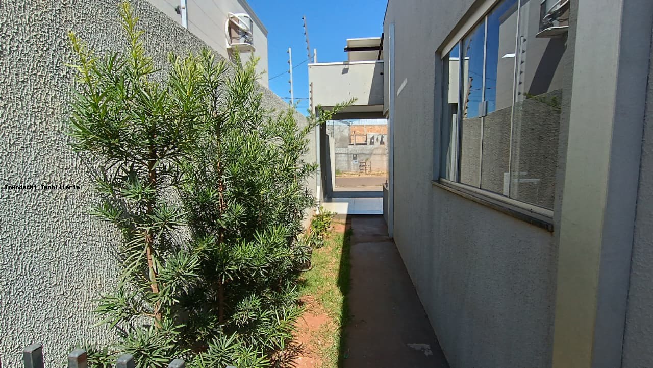 Casa, 3 quartos - Foto 20