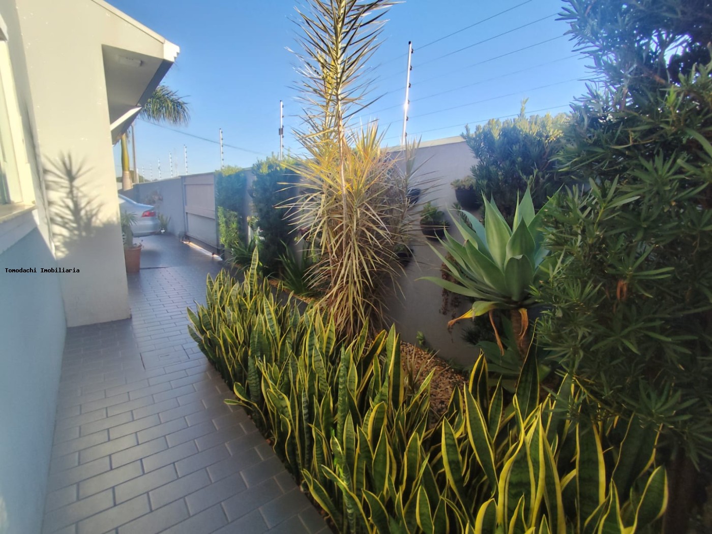 Casa, 3 quartos, 200 m² - Foto 37
